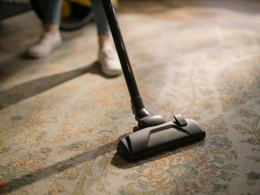 Professional carpet cleaning service with modern equipment